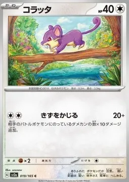 Rattata