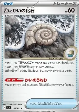 Antique Helix Fossil
