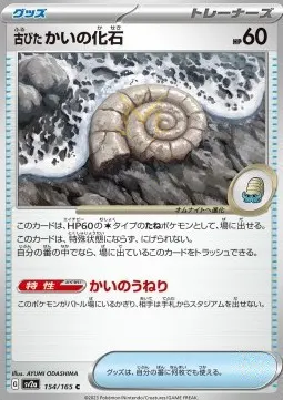 Antique Helix Fossil