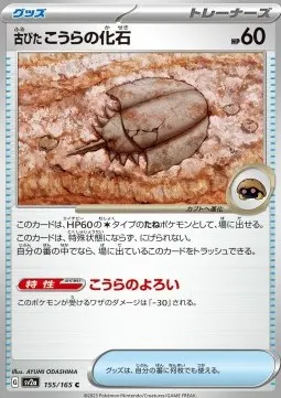 Antique Dome Fossil