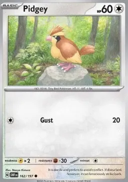 Pidgey