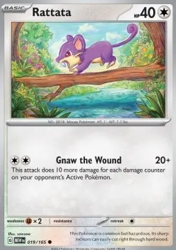 Rattata