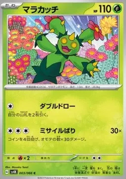 Maractus