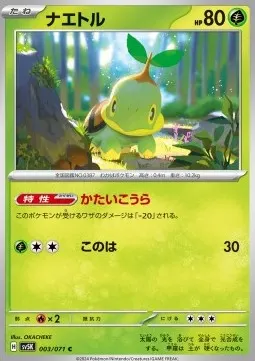Turtwig