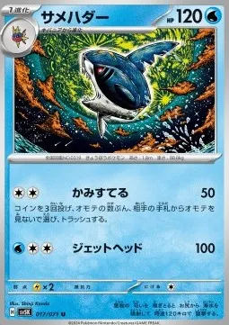 Sharpedo