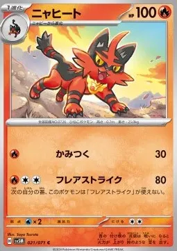 Torracat