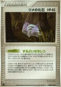 Claw Fossil