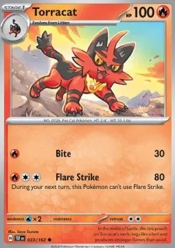 Torracat