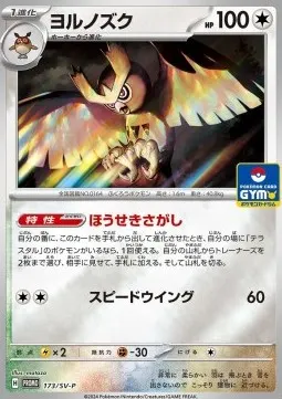 Noctowl