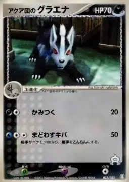 Team Aqua's Mightyena