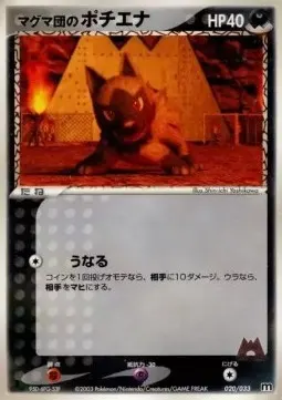 Team Magma's Poochyena