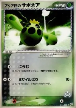 Team Aqua's Cacnea