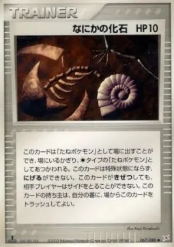 Mysterious Fossil