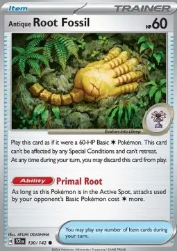 Antique Root Fossil