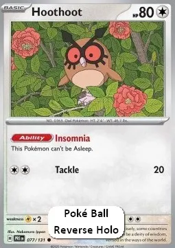 Hoothoot