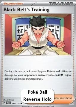 Black Belt's Training