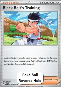 Black Belt's Training