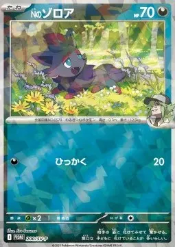 N's Zorua