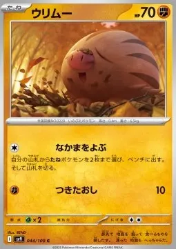 Swinub