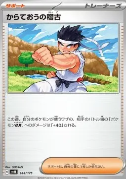 Black Belt's Training