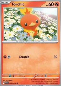 Torchic