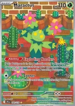 Maractus