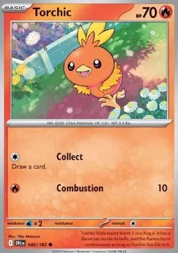 Torchic