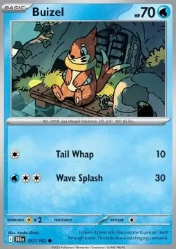 Buizel
