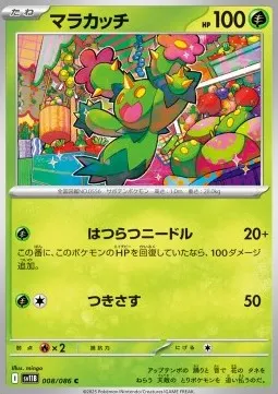 Maractus
