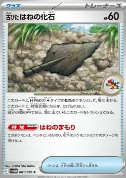 Antique Plume Fossil