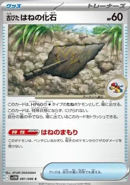 Antique Plume Fossil