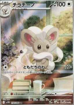 Cinccino