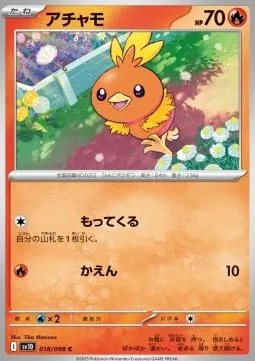 Torchic