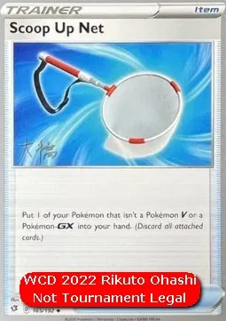 Scoop Up Net
