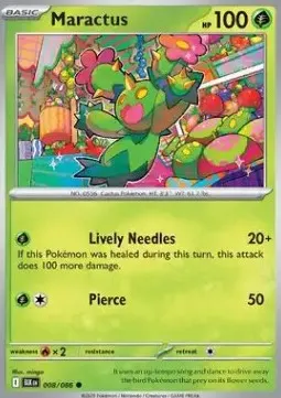 Maractus