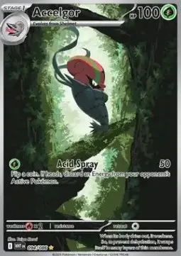 Accelgor