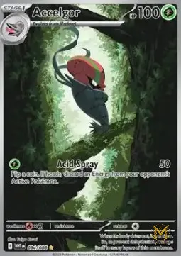 Accelgor