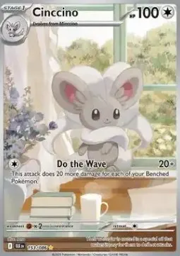 Cinccino