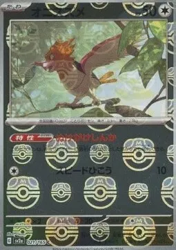 Spearow