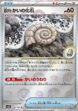 Antique Helix Fossil
