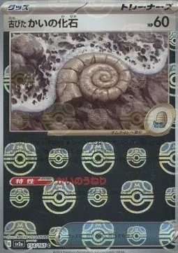 Antique Helix Fossil