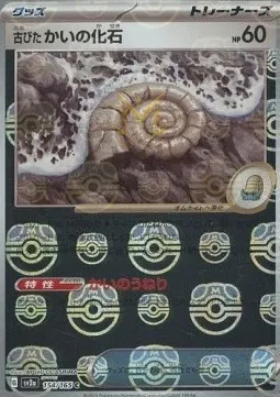 Antique Helix Fossil