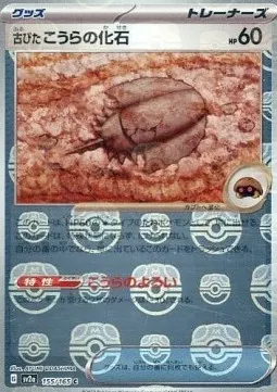 Antique Dome Fossil