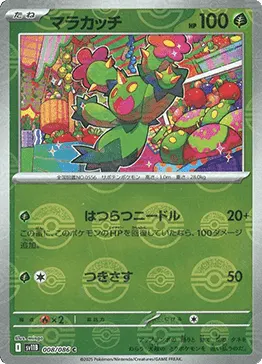 Maractus