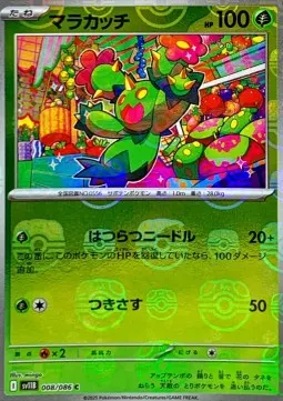 Maractus