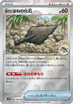 Antique Plume Fossil