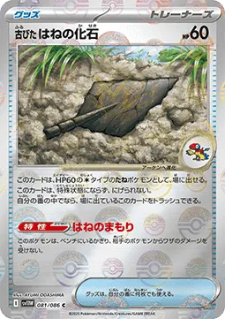 Antique Plume Fossil