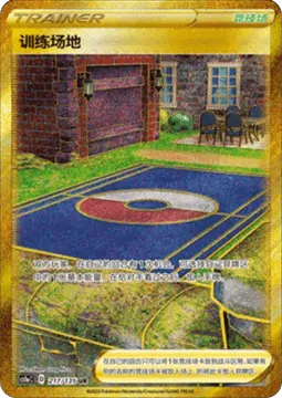 Training Court
