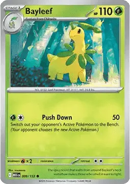 Bayleef