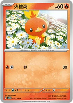 Torchic